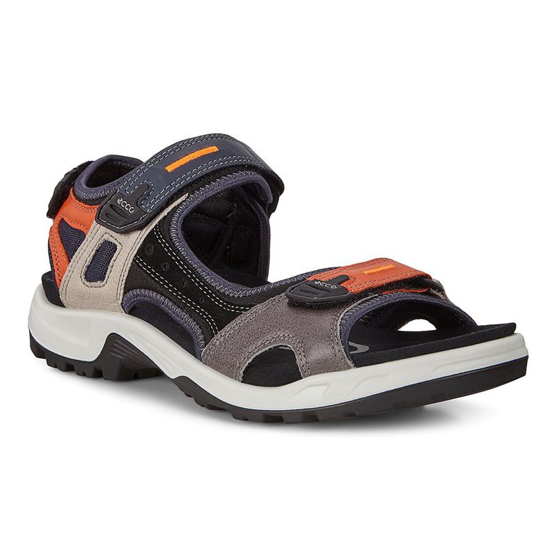 Men Ecco Offroad - Sandals Multicolour - India DTUFSI749